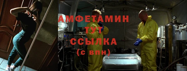 хмурый Аркадак