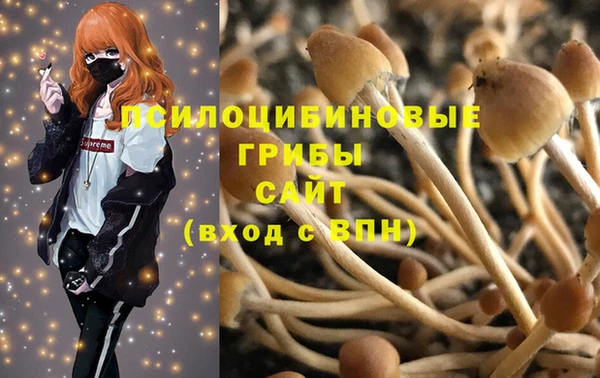 винт Арсеньев