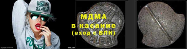 хмурый Аркадак