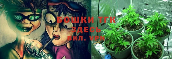 дмт Армянск