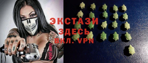 хмурый Аркадак