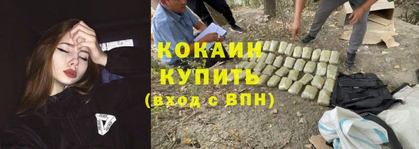 хмурый Аркадак