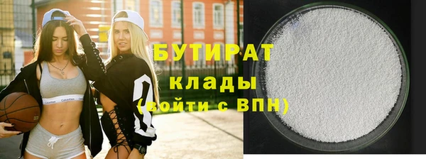 хмурый Аркадак