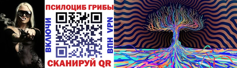 Псилоцибиновые грибы Psilocybine cubensis  закладка  ссылка на мегу ССЫЛКА  Гвардейск 