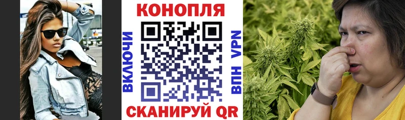 МАРИХУАНА конопля  цена наркотик  Гвардейск 